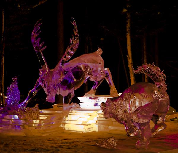 Ice Alaska 09 Hasselblad -0003490-13.jpg - *temp*